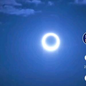 亲切钢笔LO 头像