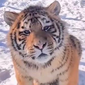 贵州小梁哥 头像