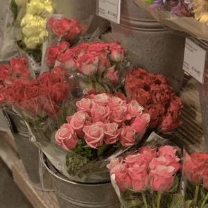 沉着葡萄酿 头像