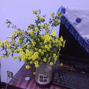 美天乐爱故事 头像