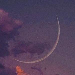 每日干货小技巧 头像