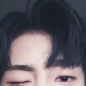 小九的papa 头像