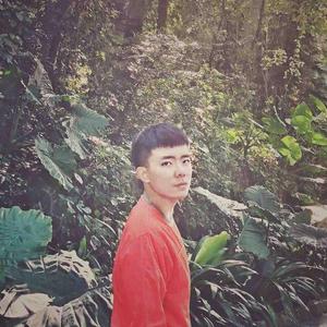 虫虫说故事 头像