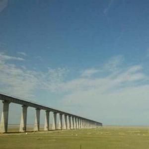 西夏之楼兰 头像