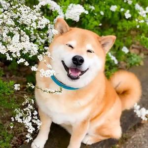 家田影视基地 头像