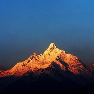 定制｜向南 头像