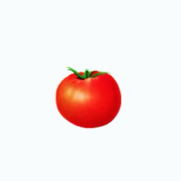 一颗番茄君头像