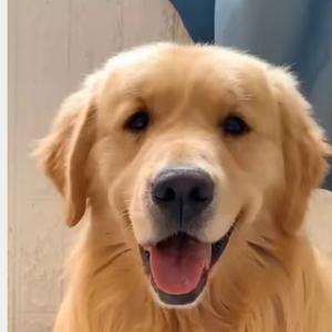 亲，请给我留个小关注 头像