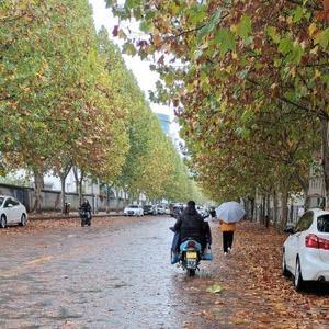 短线游明灯 头像