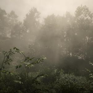 工地打工人小林 头像