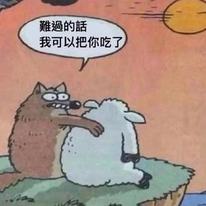 摆烂小猫头像