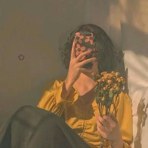 知更鸟你何必等待 头像