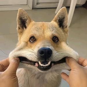 喻得到 头像