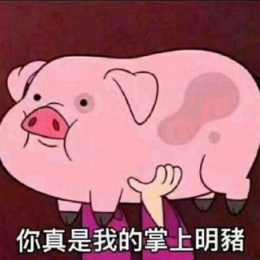 小辛在此zz 头像