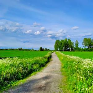 讲个小故事 头像