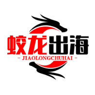 蛟龙聊跨境 头像