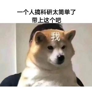 路子十一头像