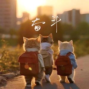 鸭子不憨憨 头像