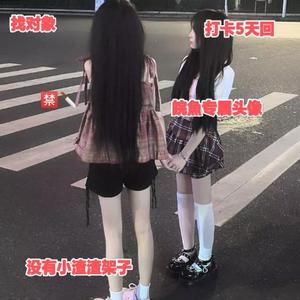 椿辞头像