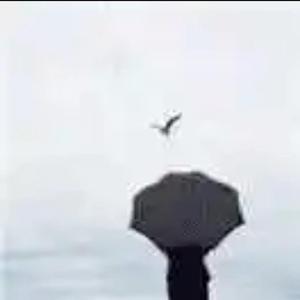 初八论教育 头像