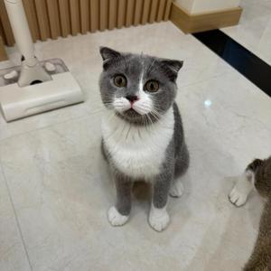 小h爱学习 头像