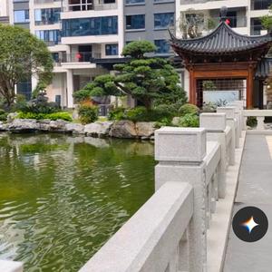 清韵悠然 头像