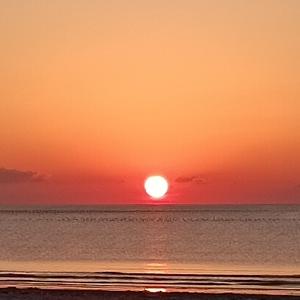 我的声音你的耳朵 头像