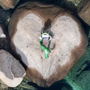 关山乐2023 头像