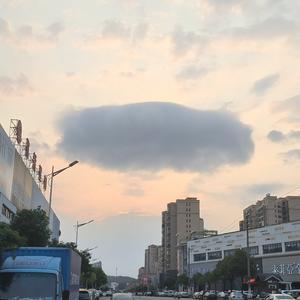 元气山雀 头像