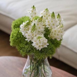 熙熙侃历史 头像