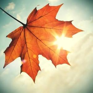 爱在深秋@ 头像