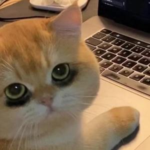 文强创业记 头像