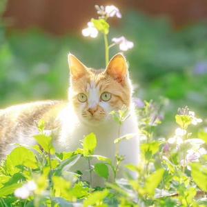 艾又不错哦 头像