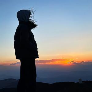 自由的清音 头像