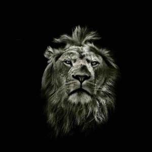 火火杂货铺 头像