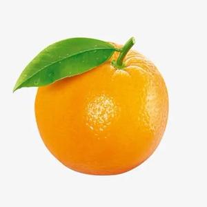 直爽橙子PM 头像