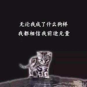 大话西游2老猫头像