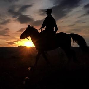 历史那些事啊 头像