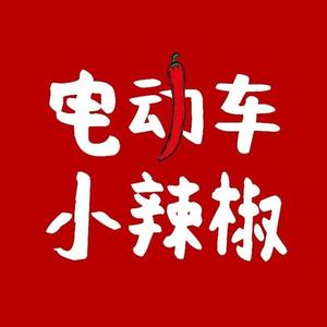 电动车小辣椒 头像