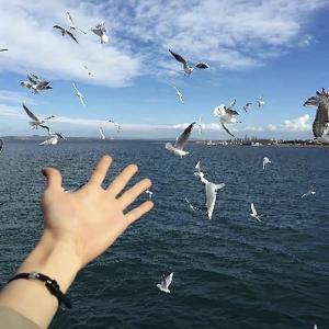 所见所思所想 头像