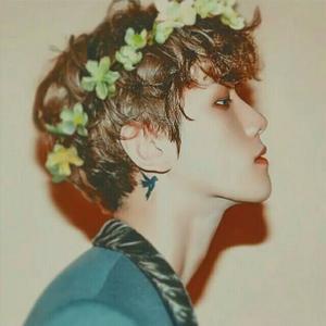 许我一世红海 头像