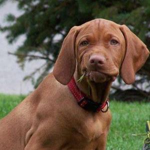 专修战斗机1 头像