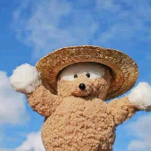 张总数码优选 头像