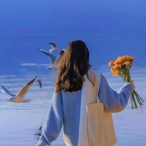 执着追梦G 头像