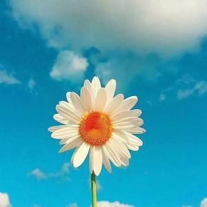 头条十点君 头像