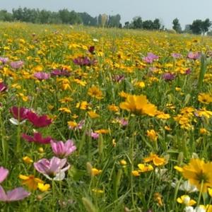 京畿88号三哥 头像