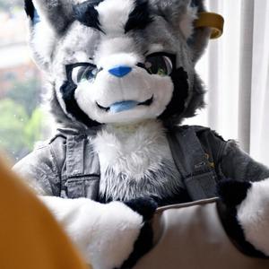 shopee跨境小萌萌 头像