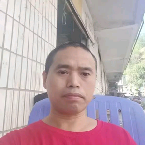 化文蝶彩 头像