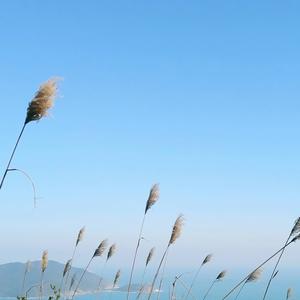 大同小李的vlog 头像