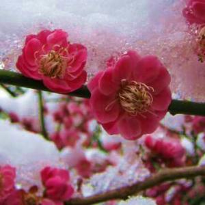 爱说话的小星星 头像